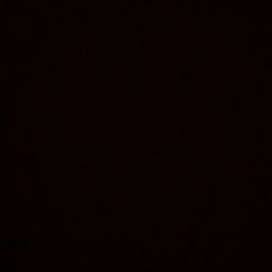 Meet your Posher, Maggie